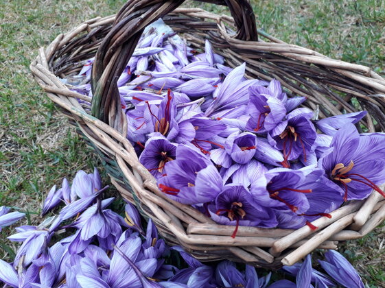 40984f0c-5a5f-4cda-aee1-fc6bcc204311