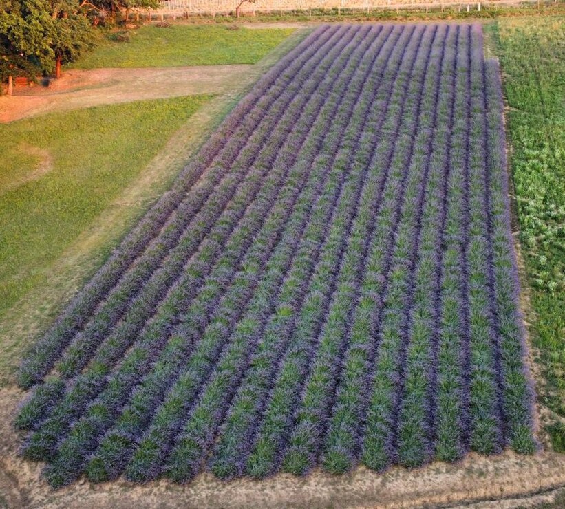 920b0b7e-a9fe-4f44-8d60-6438f1c9a970