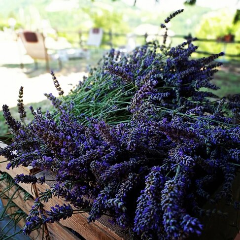 101297c3-8176-41c6-aa75-a49540a727b8