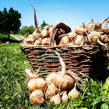 732bbff0-fb30-436a-8157-39778d730756