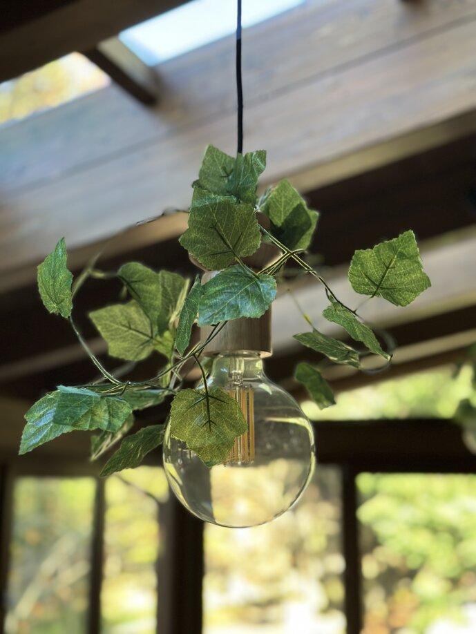 7b3df548-6f54-486a-8c77-4369f85f83f8_l0_001-24_11_2025, 16_03_09.jpeg