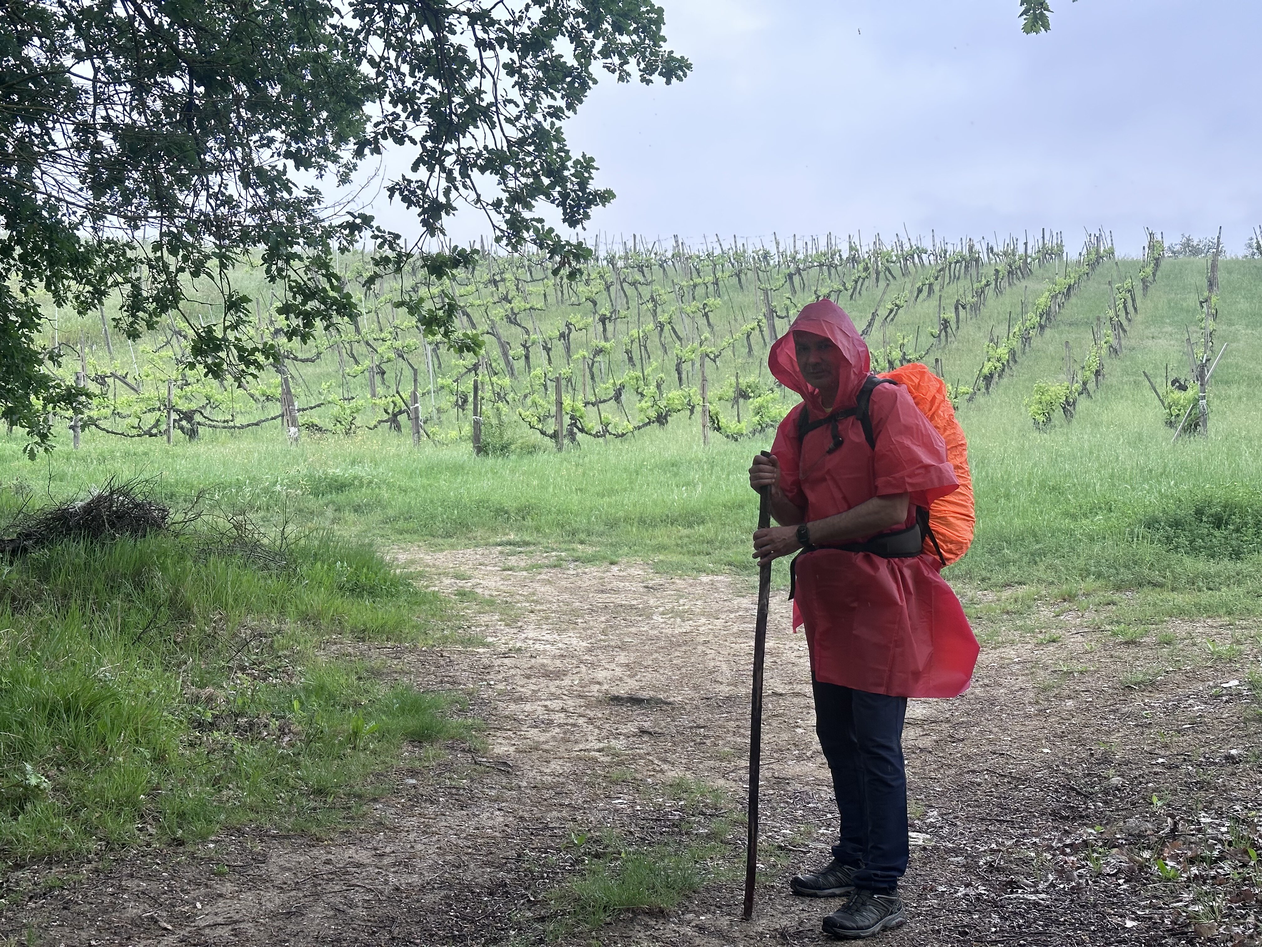 Verso il Cammino di Santiago. Cammino Inglese: la scelta, la partenza e l’emozione che sale.