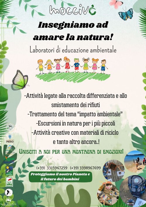 806caca9-fb47-40d4-8b56-464eeab84db2