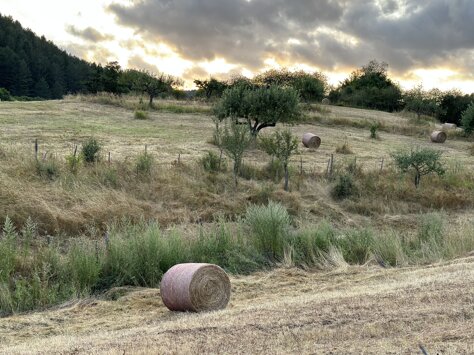 ae1faf2d-5b51-4b6c-96b9-cd65003513a6