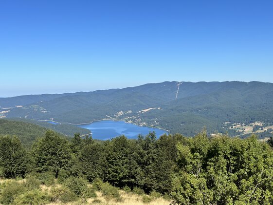 9246c950-34ed-40fa-91e9-78b979cf9e78