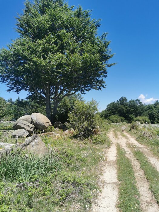 db830c3c-fd13-4171-a42f-a09891c61a73