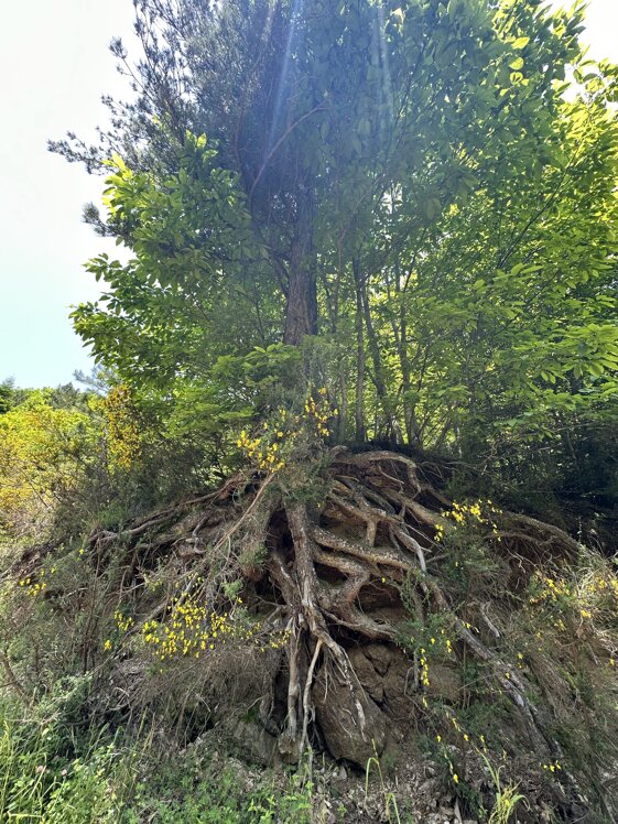 ad1f6a3e-f8b8-45dd-a978-1b9ef3b0b030