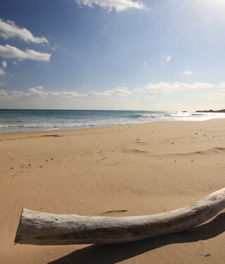 sotgiu-%20dji_0961.jpeg sotgiu-%20dji_0961.jpeg