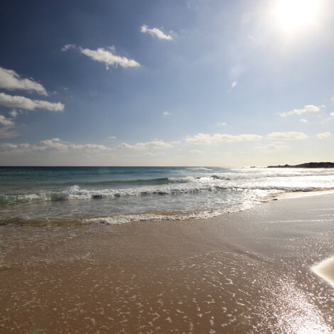 img_3673.jpeg img_3673.jpeg