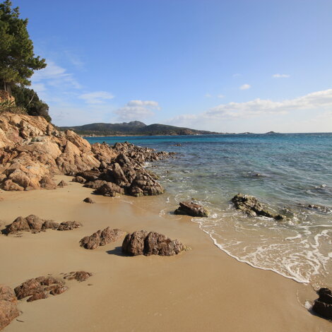 dji_0006.jpeg dji_0006.jpeg