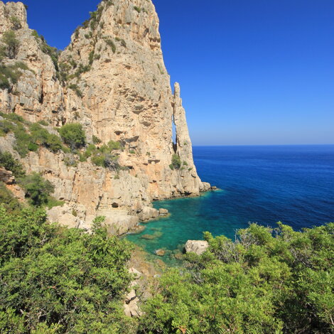 img_6469.jpeg img_6469.jpeg