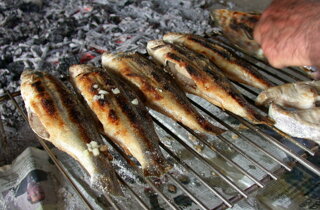 25508_113232408694225_509919_n.jpeg 25508_113232408694225_509919_n.jpeg