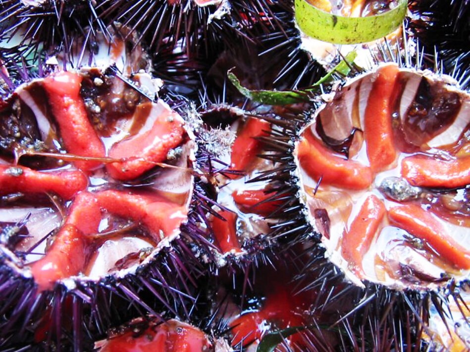 albergo Rho albergo Rho