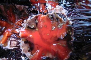 25508_113230212027778_432937_n.jpeg 25508_113230212027778_432937_n.jpeg