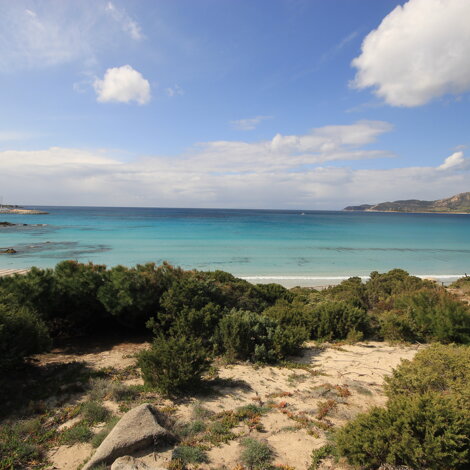 img_6530.jpeg img_6530.jpeg