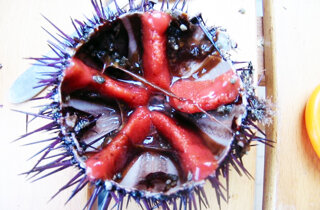 25508_113230048694461_7809819_n.jpeg 25508_113230048694461_7809819_n.jpeg