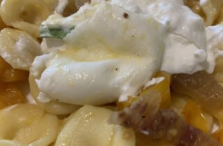 img_7599.jpeg img_7599.jpeg