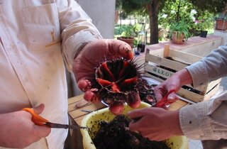 25508_113229982027801_7034575_n.jpeg 25508_113229982027801_7034575_n.jpeg