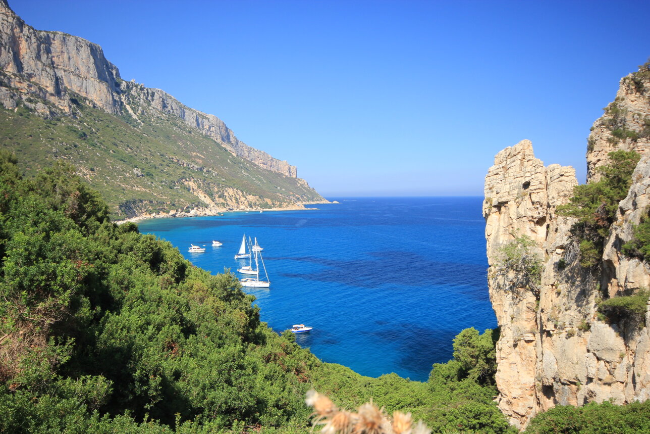 img_3681.jpeg img_3681.jpeg