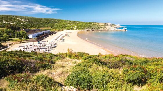 fafc995f-d7ef-4d90-ba70-dcd9cd423e45