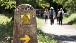 30d46c97-9de6-4aae-b911-e05a94af4295