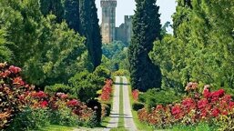 7aac4d9b-76a1-4f61-8dba-c92507a91ea6