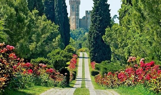 c98538d7-7709-4a4c-9c4a-119d1ff49eb8