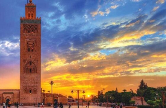 fccbbbc0-ba78-4e10-942b-a41be6b8146c