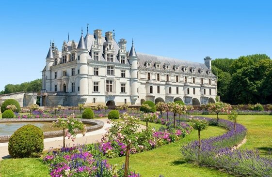 483f1d15-1dbf-41c8-9f40-66c387a49b4c