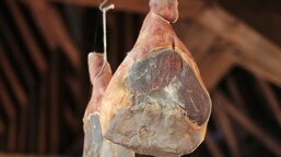 f3af83eb-8e4d-40e6-baa0-bf7f41324093