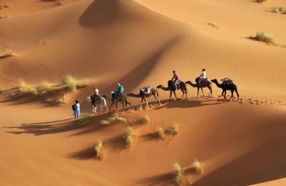 61f1faf2-79e8-423a-bf26-dd010e2a1cae 61f1faf2-79e8-423a-bf26-dd010e2a1cae