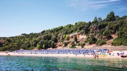 72a9187f-4346-4992-9e00-b77bf992b8da