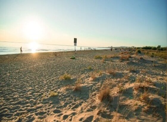 414e69ac-48f1-4254-8446-eefb6ea2f4c0