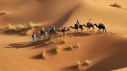 e1484e41-4898-4fd7-8817-7eee13d8f008