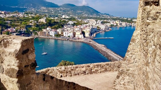 c10c24c4-1d64-404f-a896-d225d330177b