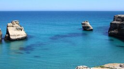 5161107f-11ad-45dd-bd24-dd7eec64d020