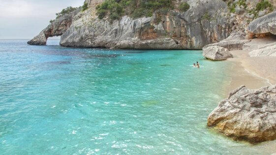 31ebb35c-5e43-4f60-b1ec-d16531286601 31ebb35c-5e43-4f60-b1ec-d16531286601