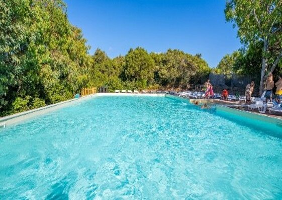 204ae8ae-71df-431c-8058-d1fbb2df4afa 204ae8ae-71df-431c-8058-d1fbb2df4afa