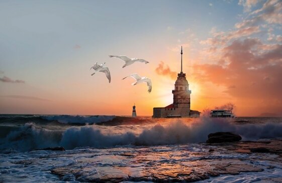 7d286ac3-5885-4340-9524-ba2725d19225