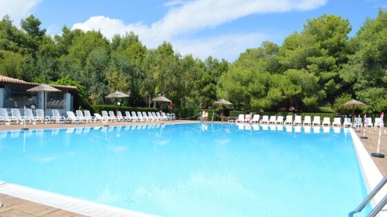 bf147444-2514-4844-8b7e-a348d6cfb087