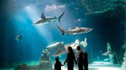 0e6cfde6-1394-4a19-a742-71c1d9674557