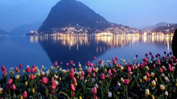 b87ca676-b134-4cc7-aa66-bace39db53ac