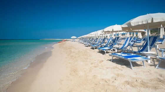 34406006-1c2b-42bf-9e9b-0acb1b0f4fba