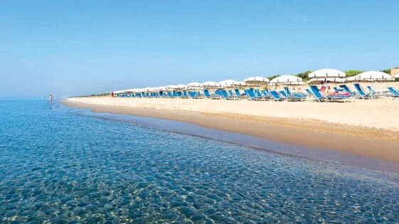 b2047b09-604f-4045-a878-c47a902ddd0a b2047b09-604f-4045-a878-c47a902ddd0a