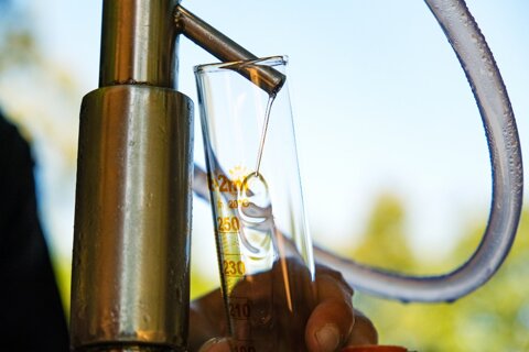 distillazione della lavanda