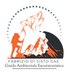 logo fabrizio di sisto gae.jpeg