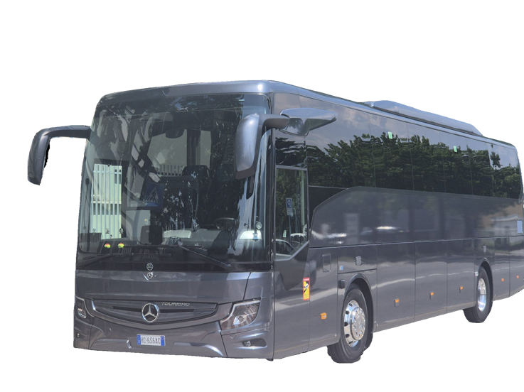 merc nuovo x sito