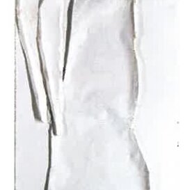 Il custode a sinistra (2003) Carta e stucco su tela, 300x80 cm