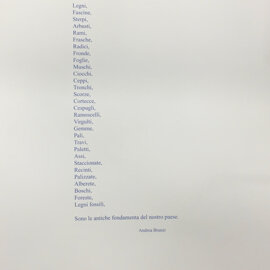 mbp_andreabranzi_legni-copertina02_2008