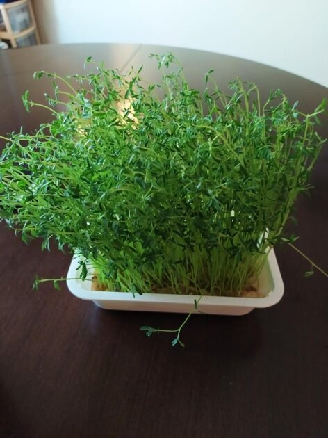 0b4ef3cb-8c00-4361-a8eb-1a1eb79f3f56 0b4ef3cb-8c00-4361-a8eb-1a1eb79f3f56